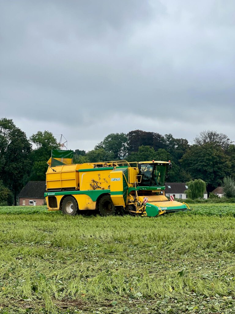 Yellow Harvester on Field